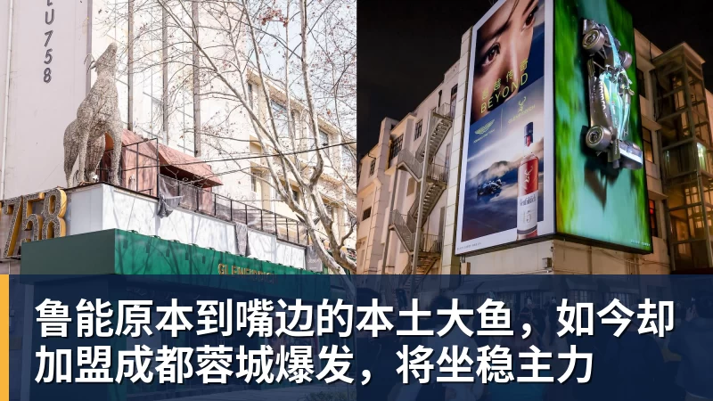 鲁能原本到嘴边的本土大鱼，如今却加盟成都蓉城爆发，将坐稳主力